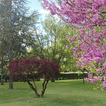 Le Logis De Lange Apt Les Aigrettes Saint-Hilaire-la-Palud 외부 사진