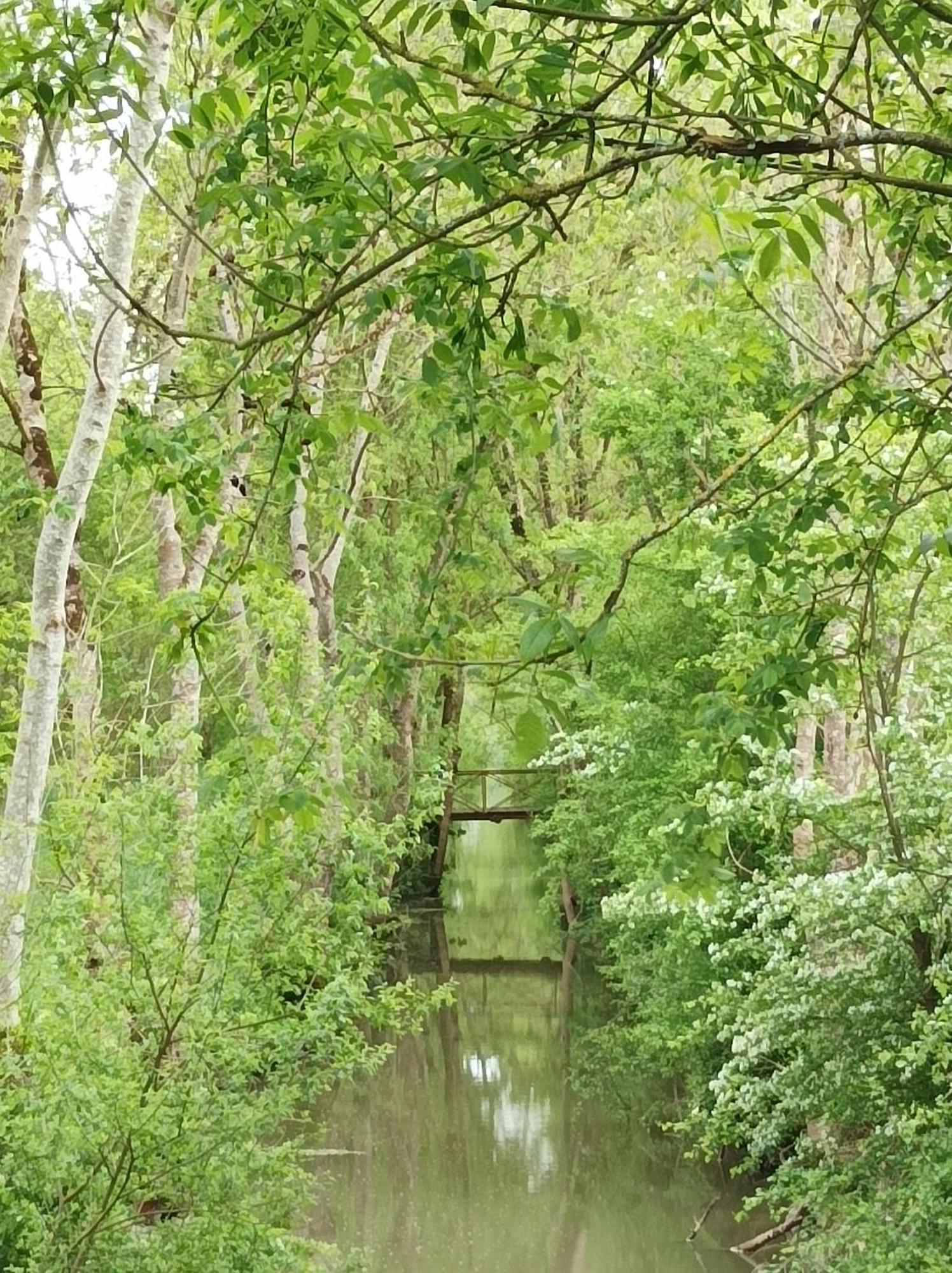 Le Logis De Lange Apt Les Aigrettes Saint-Hilaire-la-Palud 외부 사진